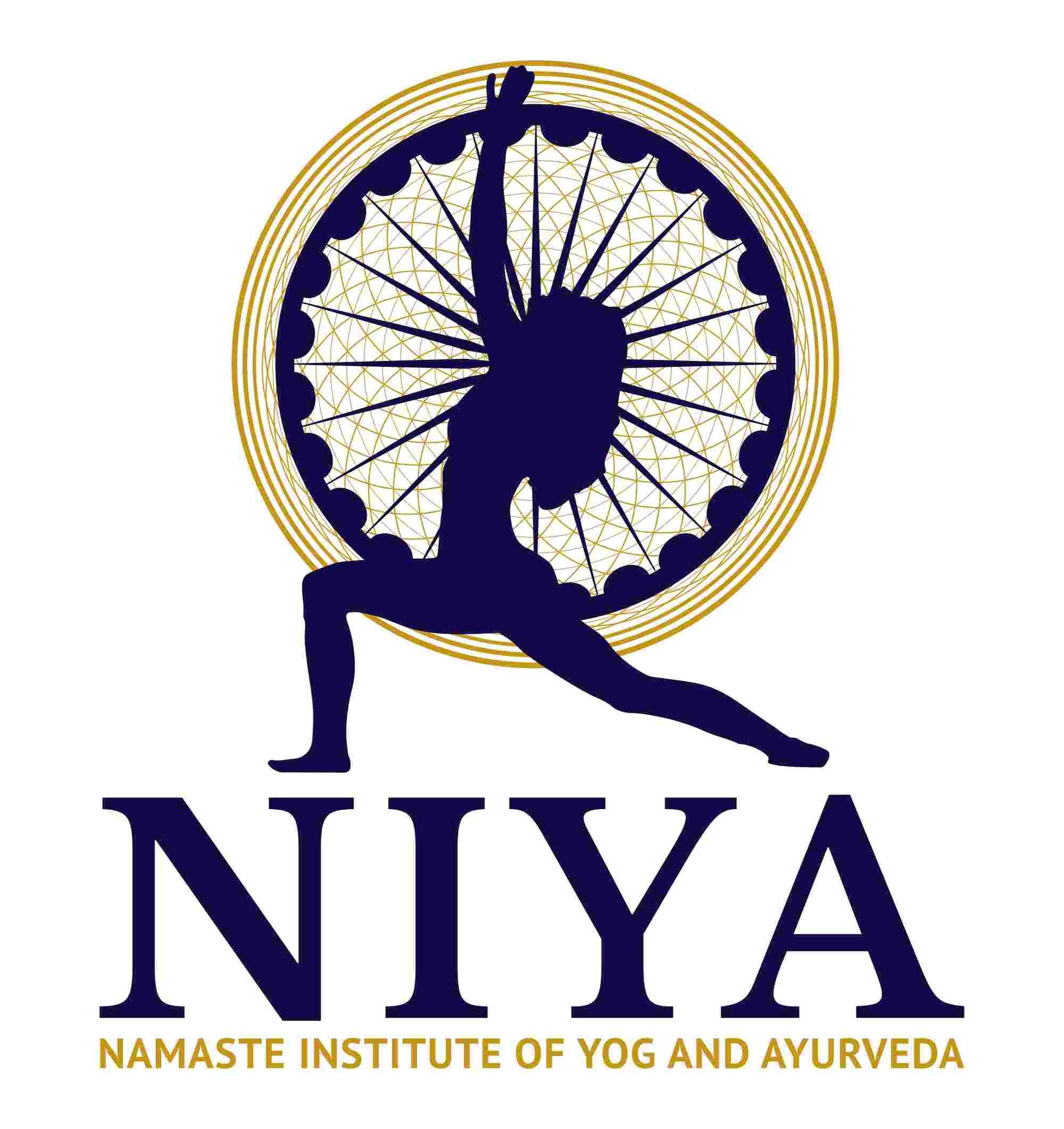 NAMASTE INSTITUTE OF YOG AND AYURVEDA logo